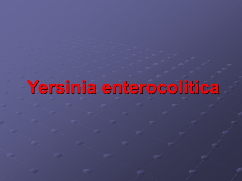 Yersinia enterocolitica